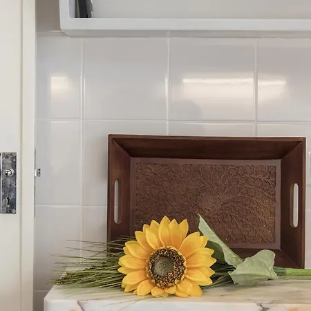 Beautiful View Close To Estadio Da Luz * Lissabon